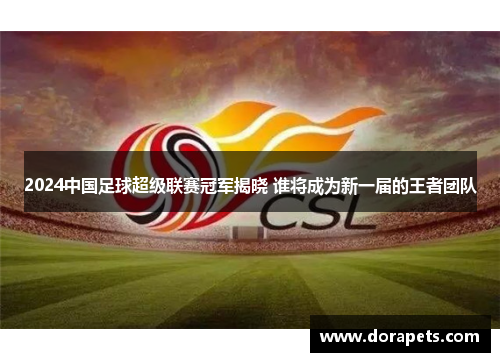 2024中国足球超级联赛冠军揭晓 谁将成为新一届的王者团队